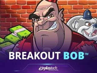 Breakout Bob icon